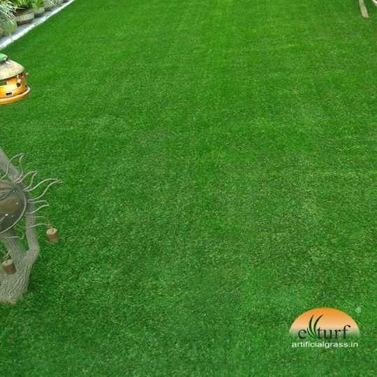 Untitled design (31)