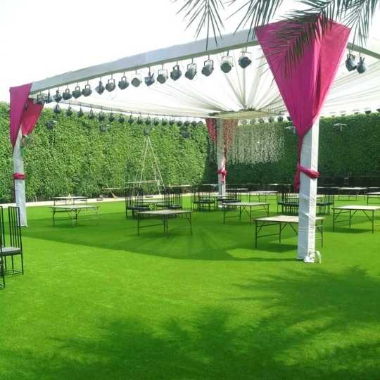 Untitled design (35)