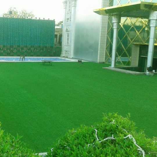 Untitled design (39)