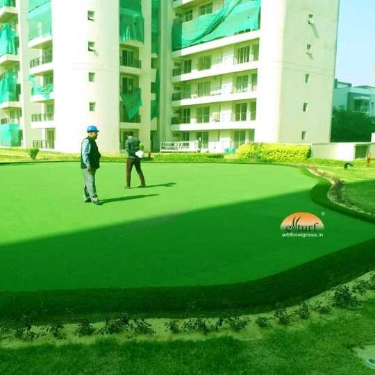 Untitled design (49)